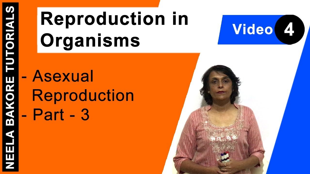 Reproduction in Organisms - Asexual Reproduction - Part - 3 sarva shiksha abhiyan ts