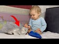 Gentlest touch ever adorable boy pets tiny kitten