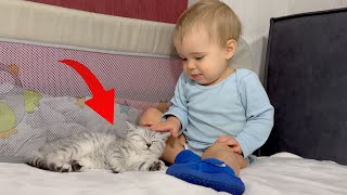 Gentlest Touch Ever Adorable Boy Pets Tiny Kitten