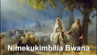Nimekukimbilia Bwana