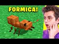 Formica