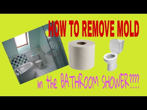 how-to-removed-mold-or-mould-from-the-silicone-in-the-bathroom-shower-or-toilet