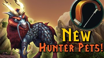 Patch 11.2.7 Just Added New Hunter Pets!