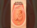 Fetus at 12 Weeks | How a Baby Looks Inside the Womb #baby #fetusdevelopment #health #fetus #womb