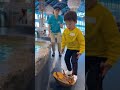 水族館でカブトガニが水槽から出て小さな子供に抱きつく🦀 #カブトガニ @chiero_piero