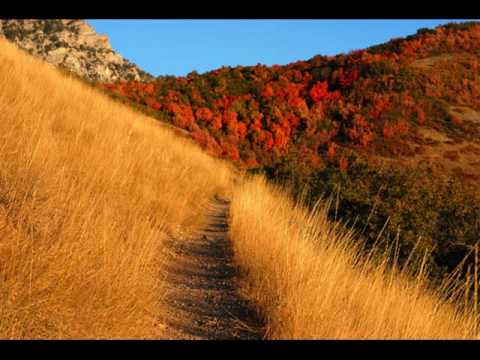 Живые камни До сердець загублених стукає любов 