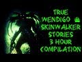 40 TRUE SKINWALKER & WENDIGO STORIES/ 3 HOUR COMPILATION - CREEP FACTOR