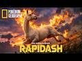 NatGeo Planet: Rapidash - The 150-MPH Living Flame | Blazing Comet of the Plains (Real-Life Pokémon)