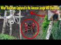 What This Drone Captured in the Amazon Jungle Will Shock You 😱