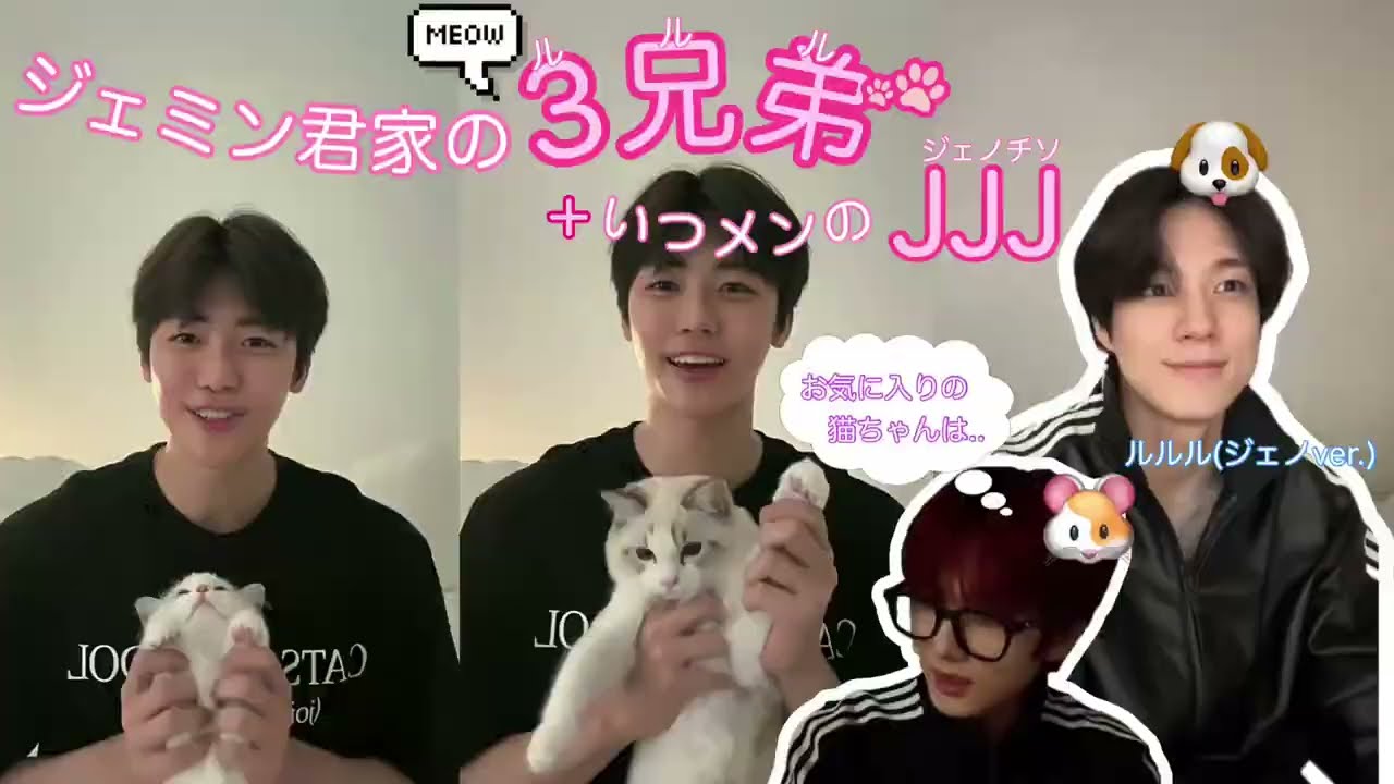 生まれ変わったらジェミン家の猫になりたい【NCT DREAM日本語字幕】ひたすら顔が良いジェミンと毎秒かわいいルルルを見るだけの動画