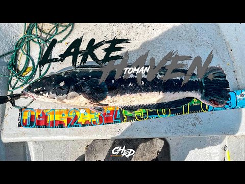 TOMAN 90CM Lake