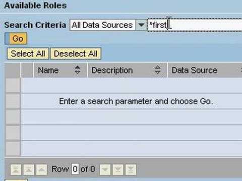 SAP NetWeaver Portal role assignment