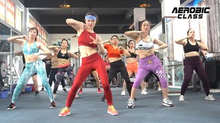 20 Minute Aerobic Exercise To Lose Belly Fat | Aerobic for Beginners | Aerobic Class