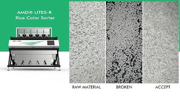 AMD® LITE Rice Color Sorter Machine Remove Broken Rice