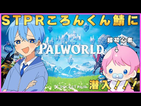 あ*き様 ころんとかわいいチューリップバック　コヤンイサムチョン☆アリスリトルサ hqdefault.jpg?v=65beff0e
