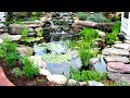 Building a Backyard Pond! Building a Backyard Pond!
