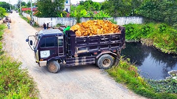 Wonderful New Project!! LANDFILL Delete Pond Flood By Skill Dozer Pushing Soil,Dumpt Truck Unloading
