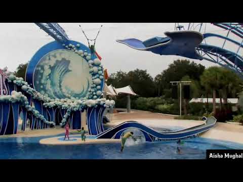 Dolphinarium Dubai 2021 Complete Video of Sea World – Aisha Mughal