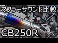 【音比較】エンデュランス hi-POWER スポーツマフラー TYPE R【CB250R】