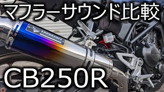 【音比較】エンデュランス hi-POWER スポーツマフラー TYPE R【CB250R】