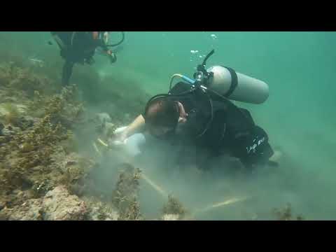 Ship Wrecks Off Costa Rica Found!