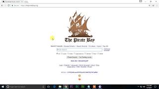 How To Download Any Files From Torrents.