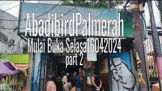 Live_Update harga & stok burung masteran di hari pertama buka abadi bird palmerah