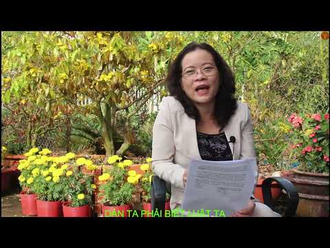 Video Luật Sư Thu Đoàn - Tranh Chấp Quyền Sử Dụng Đất - youtube