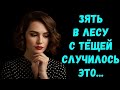 «Тёща и зять зашли в лес… И вот что случилось на лужайке!»