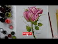 #Dicarapidasemana - Vamos Aprender a Pintar em Tecido Botão de Rosas Semi Acadêmica