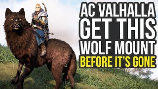 Get This Free Wolf Mount At Reda Before It's Gone In Assassin's Creed Valhalla (AC Valhalla Wolf)