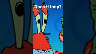 Does it loop?