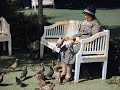 A summer day in 1938 copenhagen