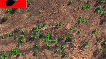 MLA Project: Woody Weed Detection, Classification and Control