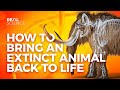 How To Bring An Extinct Animal Back To Life How To Bring An Extinct Animal Back To Life