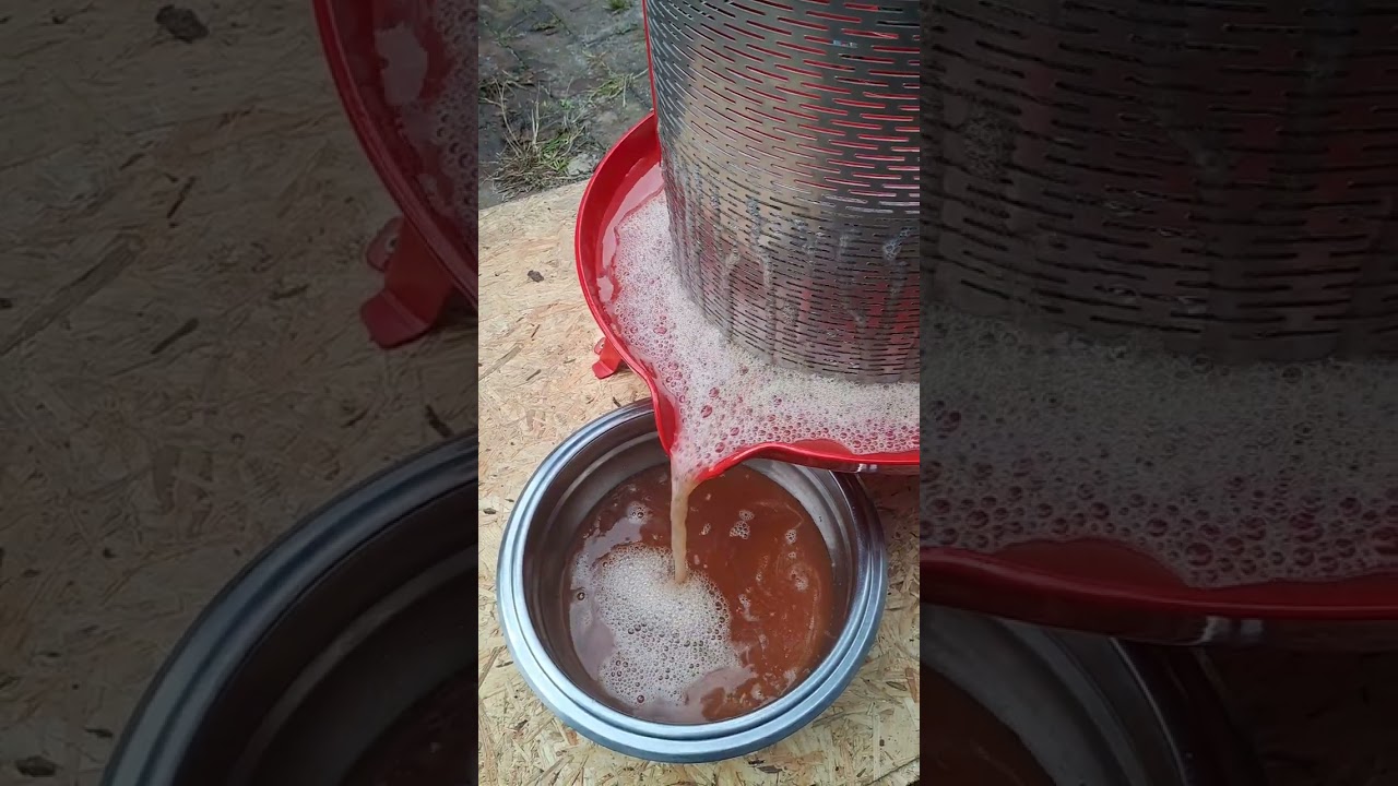 Was seit letztem Sommer im Schulgarten los war