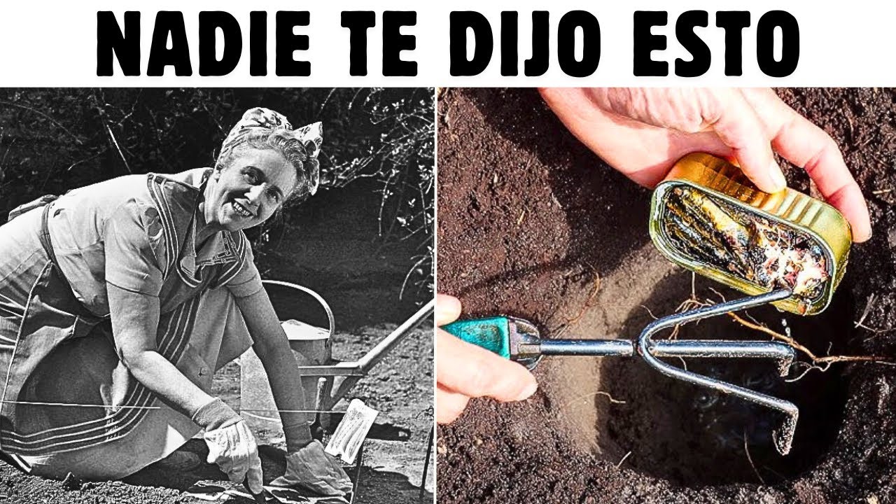¡Viejos trucos para cultivar hortalizas que desearás haber conocido antes!