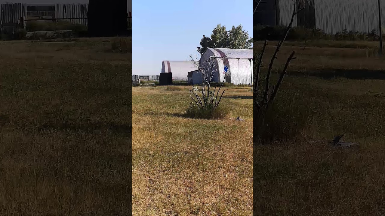 Gopher wants TO HOT TUB!!!!