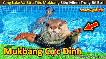 Hảo Hán Review bữa tiệc Mukbang Siêu Mlem của Rái Cá trong bể bơi || Review Giải Trí Đời Sống