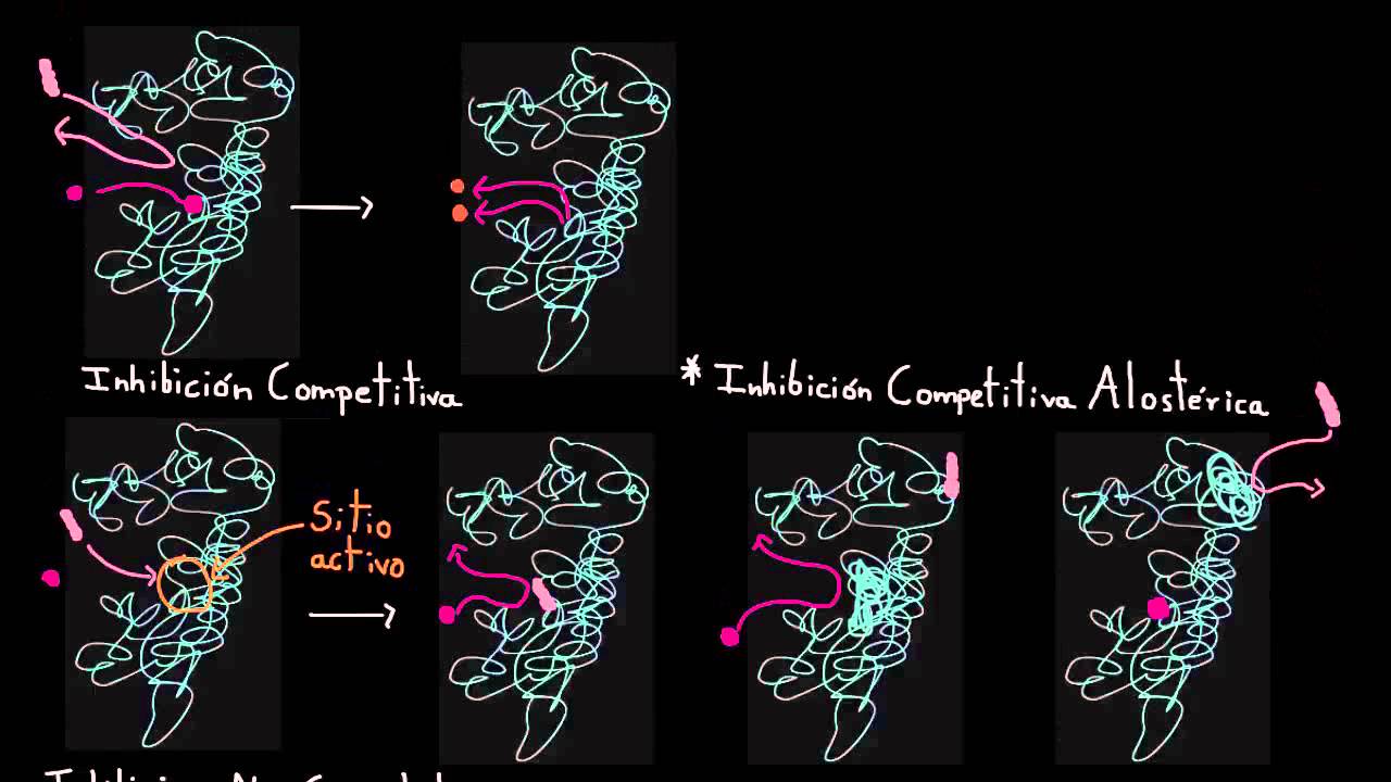 Inhibición no competitiva Energía y enzimas Biología Khan Academy