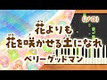 新曲!みんなのうた『花よりも花を咲かせる土になれ』/ベリーグッドマン【ピアノソロ】