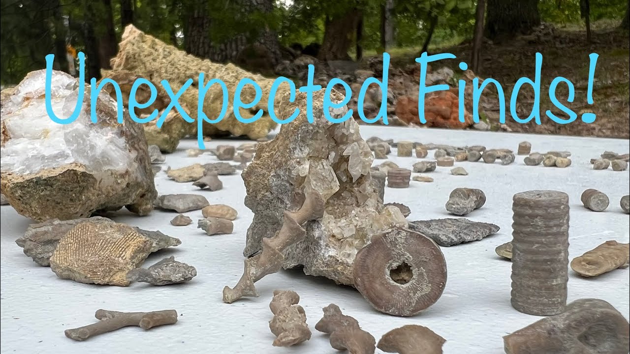 Awesome fossils and more exploring Missouri road cuts - YouTube