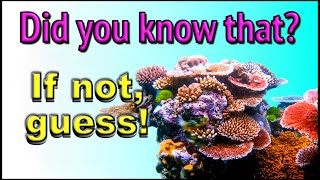 The Great Barrier Reef! Guessing Game: Expand your knowledge with our exciting multiple choice quiz!