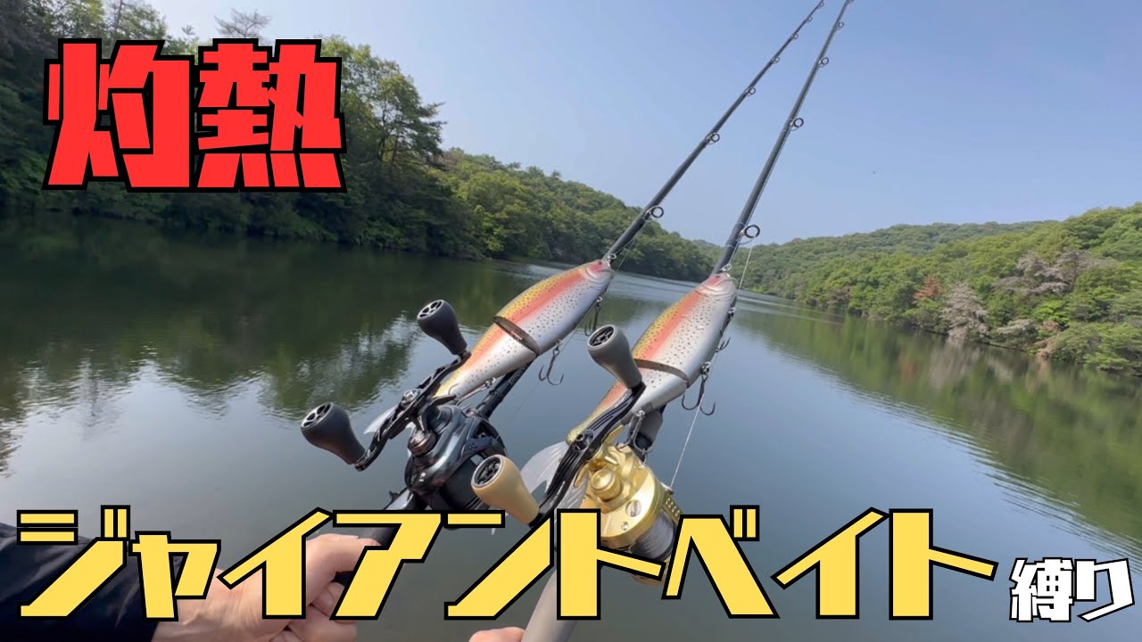 灼熱のジャイアントベイト縛り！【バス釣り】【ビッグベイト】