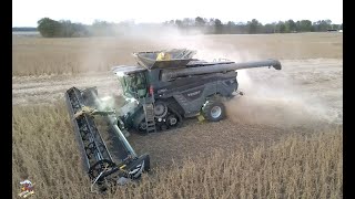 Fendt Ideal 9T Combine harvesting soybeans