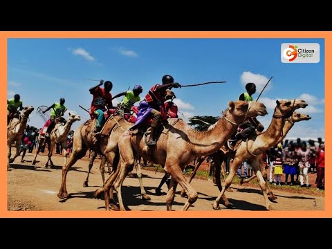 Samburu Kuandaa Mashindano Ya Kimataifa Ya Ngamia