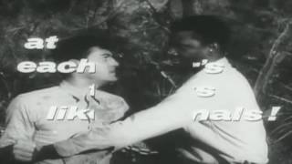 MP4 1080p The Defiant Ones Trailer 1958 Sidney Poitier Tony Curtis