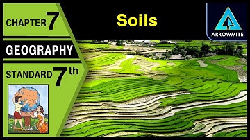 Soil | Std 7 | Geography | Chapter 7 | Maharashtra Board