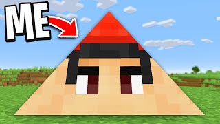 Minecraft Manhunt But I'm A Triangle