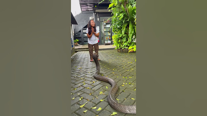 BECAUSE I'M AFRAID OF BEING EATEN BY DEDE INOEN!!